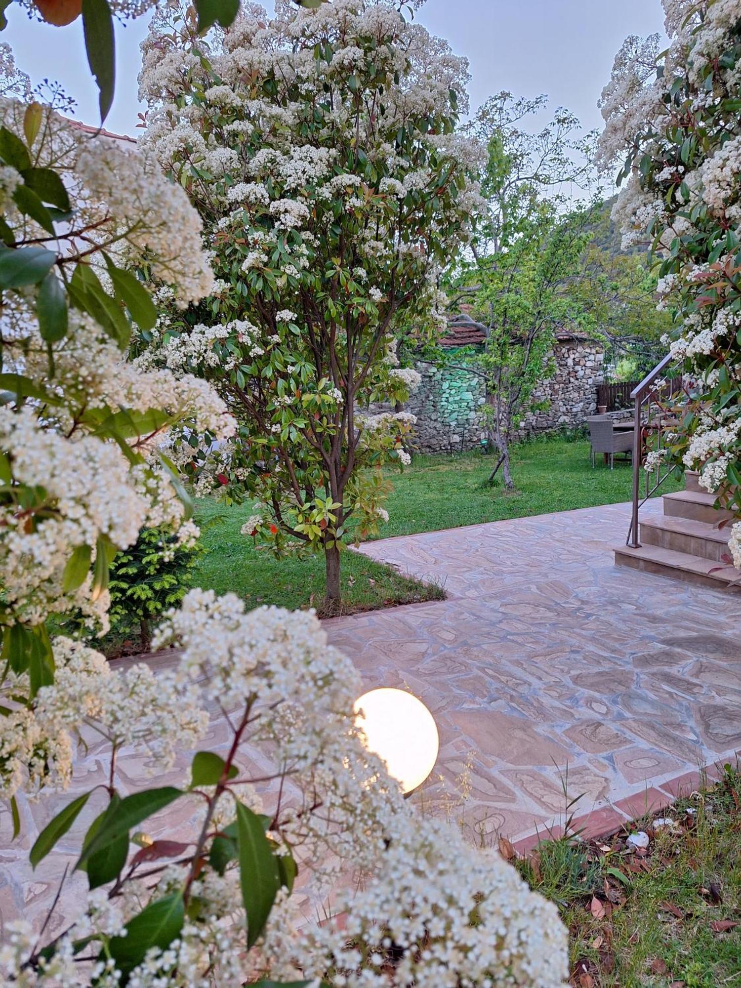Karia  Country House On Mount Olympus מראה חיצוני תמונה